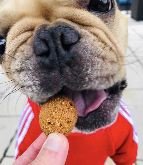 Sweet Potato and Apple - Shaded Trails All Natural Crunchy Dog Treats 8 oz - Vegan & Grain Free